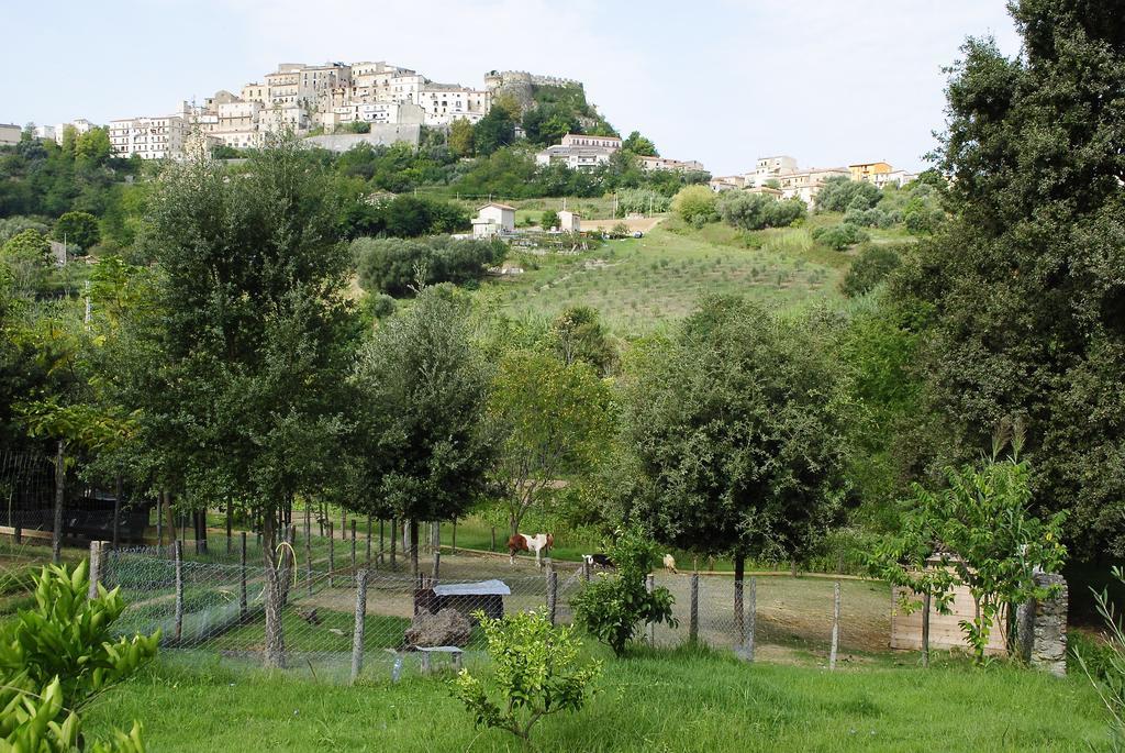 Agriturismo L'Arca Di Anna Brambilla Белведере Маритимо Екстериор снимка