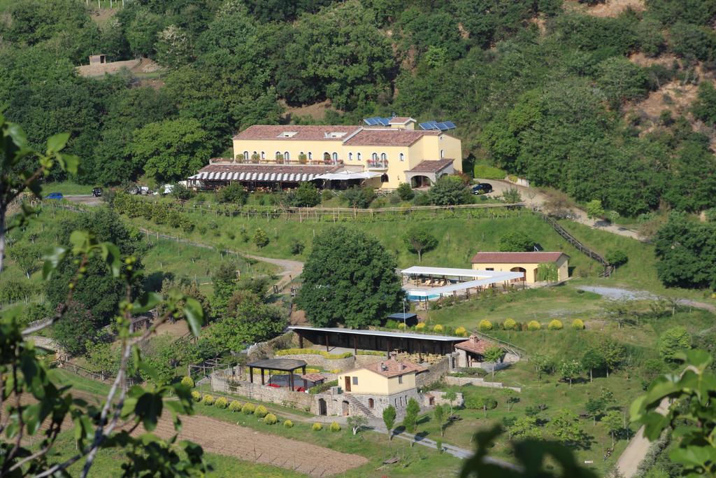 Agriturismo L'Arca Di Anna Brambilla Белведере Маритимо Екстериор снимка